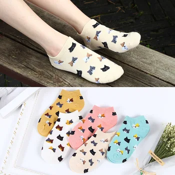 Qisin, 5 пар модных красочных женских носков из хлопка в кавайном стиле, Корейские носки для девочек в стиле харадзюку, весенне-летние носки с мультяшными кошками