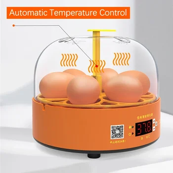 Инкубатор Фермы Контроля Температуры Цифровой Полностью Поворачивая Яйца Инкубаторий Для Выращивания Яиц Брудер Автоматическая Машина Для Животных На 6