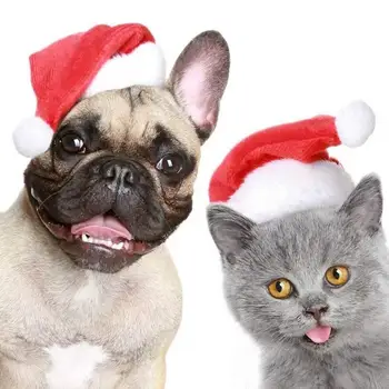 Праздничные аксессуары для домашних животных, рождественские шапочки для кошек, праздничные шапочки Санта Клауса для домашних животных, очаровательные удобные рождественские шапочки для кошек против осени