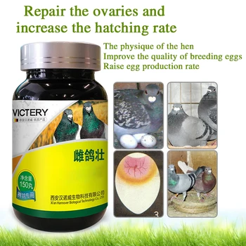 Продукты Pigeon Strong Health Care Улучшают телосложение и яйценоскость кур, а также улучшают качество племенных яиц