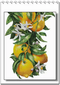 -фруктовый цветок лимона 45-56 Набор для Вышивания Крестиком Набор для вышивания Крестиком Пакеты для Рукоделия Хлопчатобумажная Ткань Мулине